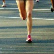 SA Marathon Champ entries SA Marathon Champ entries