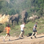 Save the Rhino Trail Run