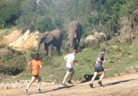 Botlierskop Game Reserve