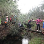 The Chick Bridge