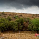 Dramatic start to Spur Gauteng Summer Trail