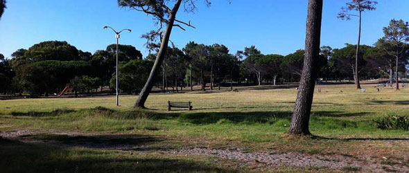 Africa Cross Country Championships - Keurboom Park